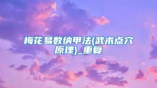 梅花易数纳甲法(武术点穴原理)_重复