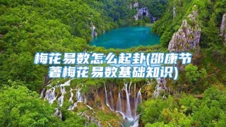 梅花易数怎么起卦(邵康节著梅花易数基础知识)