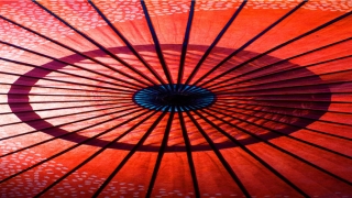 捭阖之术是什么意思(什么是捭阖之术)