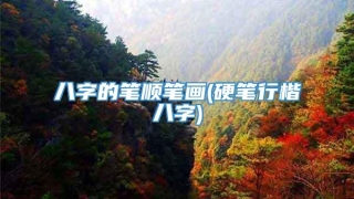 八字的笔顺笔画(硬笔行楷八字)