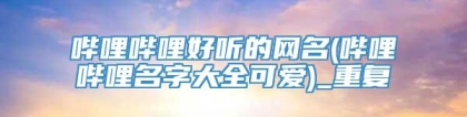 哔哩哔哩好听的网名(哔哩哔哩名字大全可爱)_重复