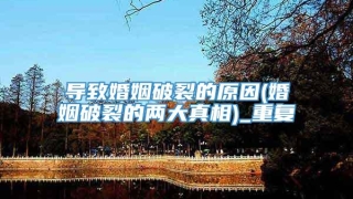 导致婚姻破裂的原因(婚姻破裂的两大真相)_重复