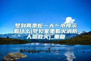 梦到两条蛇一大一小预示着什么(梦见家里着火消防人员救火)_重复