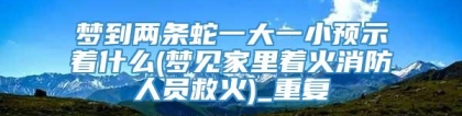 梦到两条蛇一大一小预示着什么(梦见家里着火消防人员救火)_重复