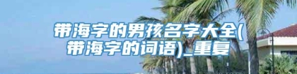 带海字的男孩名字大全(带海字的词语)_重复