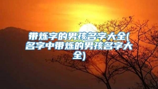 带烁字的男孩名字大全(名字中带烁的男孩名字大全)