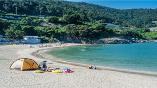 八字怎么看文昌星(家里孩子的文昌位如何确定)