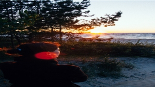 2016年生肖羊运势(十二生肖运势之生肖羊的运势)_重复