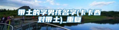 带土的字男孩名字(卡卡西对带土)_重复