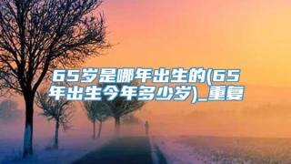 65岁是哪年出生的(65年出生今年多少岁)_重复