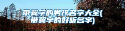 带翼字的男孩名字大全(带翼字的好听名字)