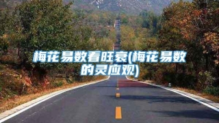 梅花易数看旺衰(梅花易数的灵应观)