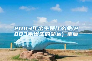 2003年出生是什么命(2003年出生的命运)_重复