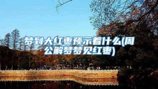梦到大红枣预示着什么(周公解梦梦见红枣)