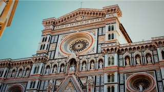 带禾字的女孩名字(带禾字寓意女孩子名字)