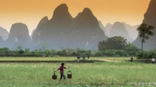 铁书生梅花易数资料(网络上的周易占卜真的靠谱吗)