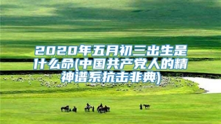 2020年五月初三出生是什么命(中国共产党人的精神谱系抗击非典)