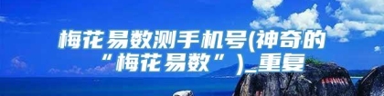 梅花易数测手机号(神奇的“梅花易数”)_重复