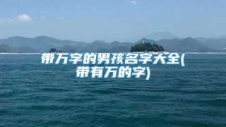 带万字的男孩名字大全(带有万的字)