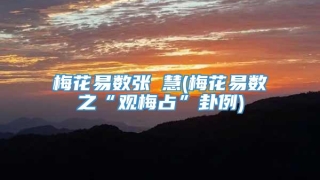 梅花易数张赟慧(梅花易数之“观梅占”卦例)