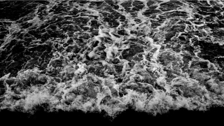 财神传奇王七(与何晴相恋6年)