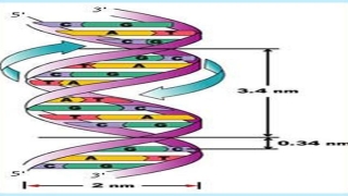 称骨算命是真的还是假的(看相到底是不是迷信)