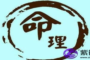 八字排盘天干地支(八字排盘天干日柱)