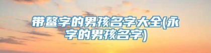 带鳌字的男孩名字大全(永字的男孩名字)