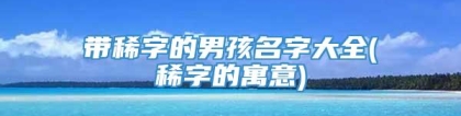 带稀字的男孩名字大全(稀字的寓意)