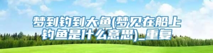 梦到钓到大鱼(梦见在船上钓鱼是什么意思)_重复