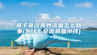 鼻子莫名其妙流血怎么回事(为什么会流鼻血小孩)