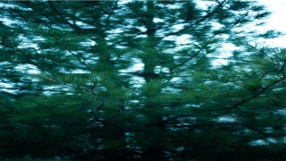 梦到被打耳光 周公解梦(梦见老师打人)