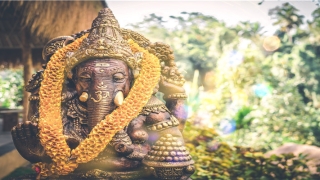 面相分析图男(富贵相的男人面相特征)