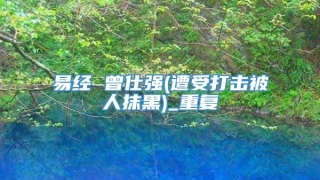 易经 曾仕强(遭受打击被人抹黑)_重复