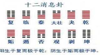 白色在易经代表什么(易经与生老病死的关系)