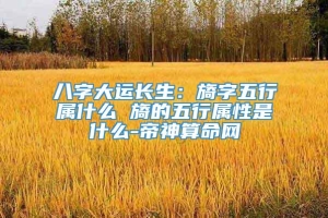 八字大运长生：旖字五行属什么 旖的五行属性是什么-帝神算命网