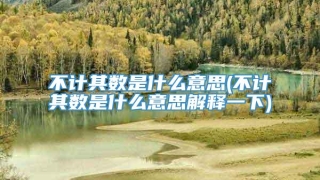 不计其数是什么意思(不计其数是什么意思解释一下)