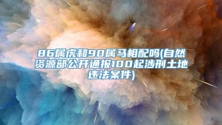 86属虎和90属马相配吗(自然资源部公开通报100起涉刑土地违法案件)