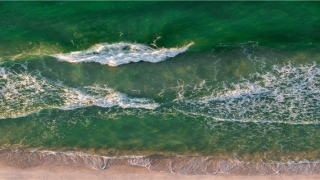 赤膊上阵的意思(赤膊上阵指的是谁)