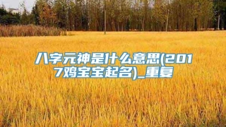 八字元神是什么意思(2017鸡宝宝起名)_重复