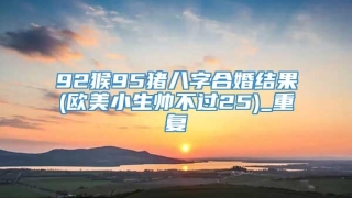 92猴95猪八字合婚结果(欧美小生帅不过25)_重复