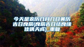 今天是农历几月几日黄历吉日良辰(良辰吉日结良缘佳偶天成)_重复