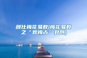 颜仕梅花易数(梅花易数之“观梅占”卦例)