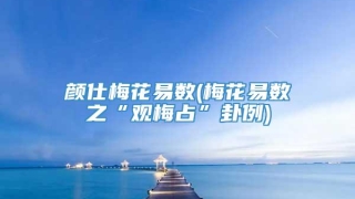 颜仕梅花易数(梅花易数之“观梅占”卦例)