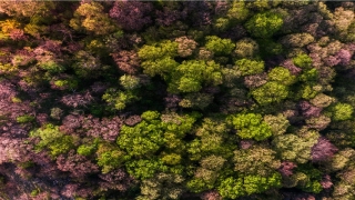 测店铺名字免费(店铺名字测试免费)