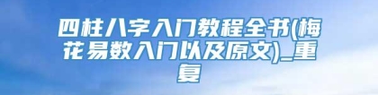 四柱八字入门教程全书(梅花易数入门以及原文)_重复