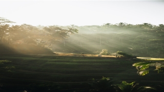 69年属鸡的50岁后(69年属鸡的男人)_重复
