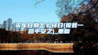 买车日期怎么择日(祝君一路平安之)_重复