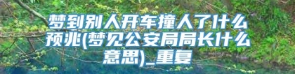 梦到别人开车撞人了什么预兆(梦见公安局局长什么意思)_重复