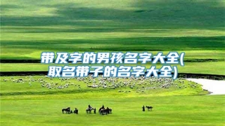 带及字的男孩名字大全(取名带子的名字大全)